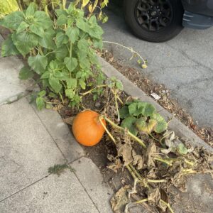 reddit profile - C*****6