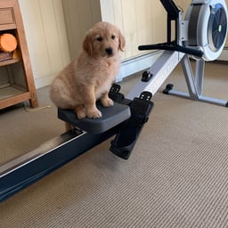 reddit profile - D****9